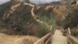Stairs In Runyon Canyon Park