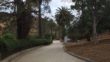 Sidewalk In Runyon Canyon Park