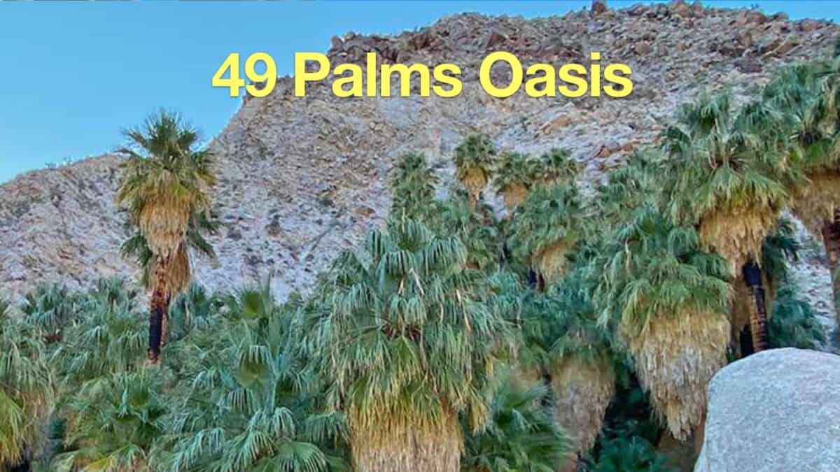 Hike the 49 Palms Oasis Trail