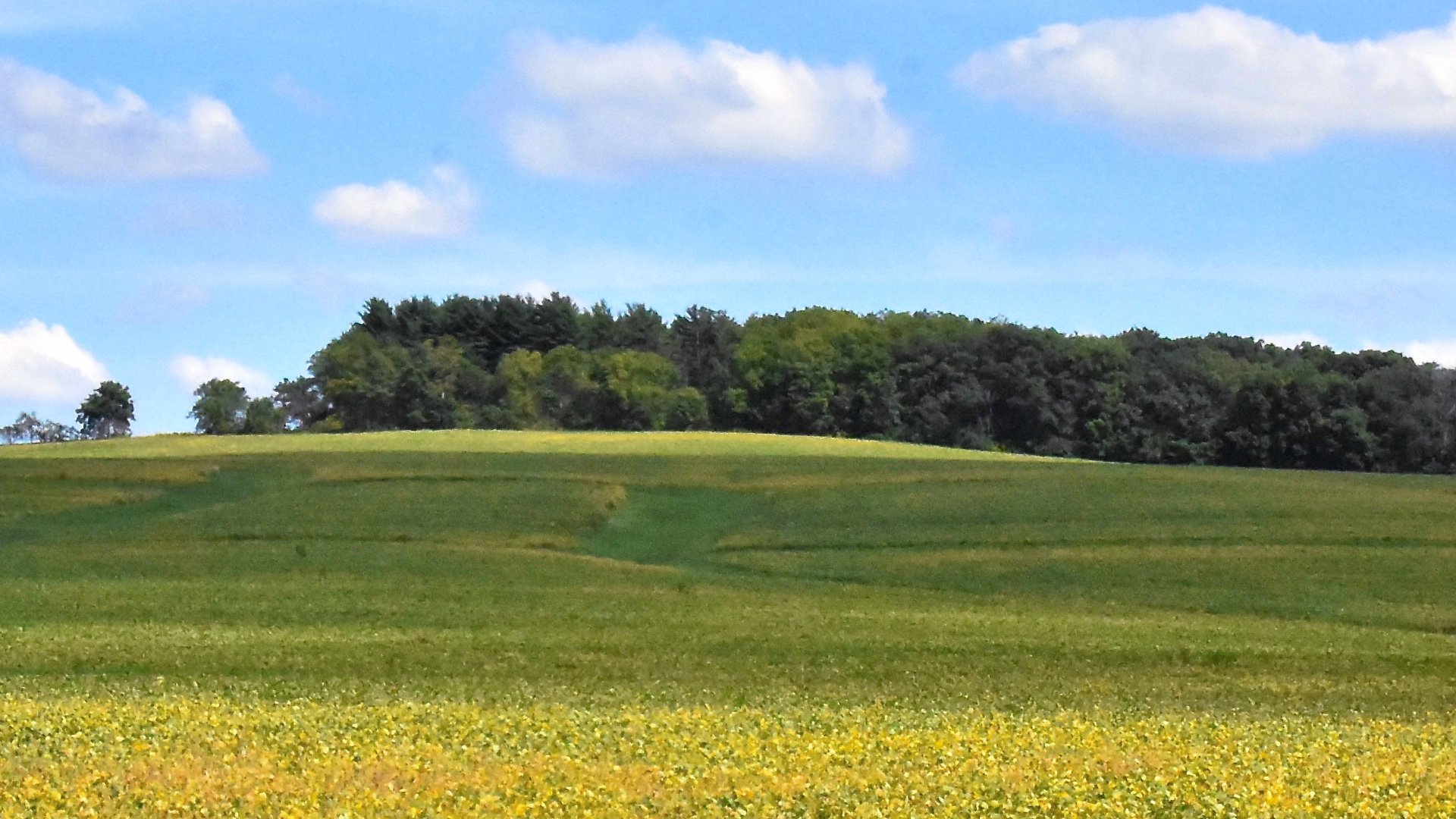 State High Point Illinois