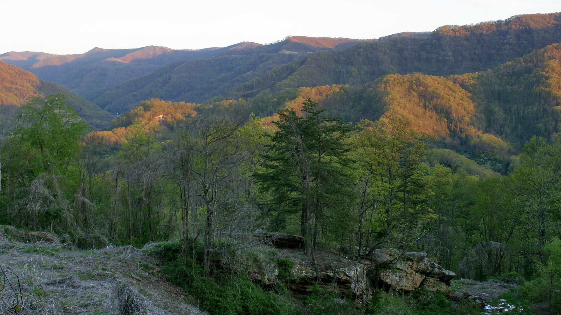 State High Point Kentucky