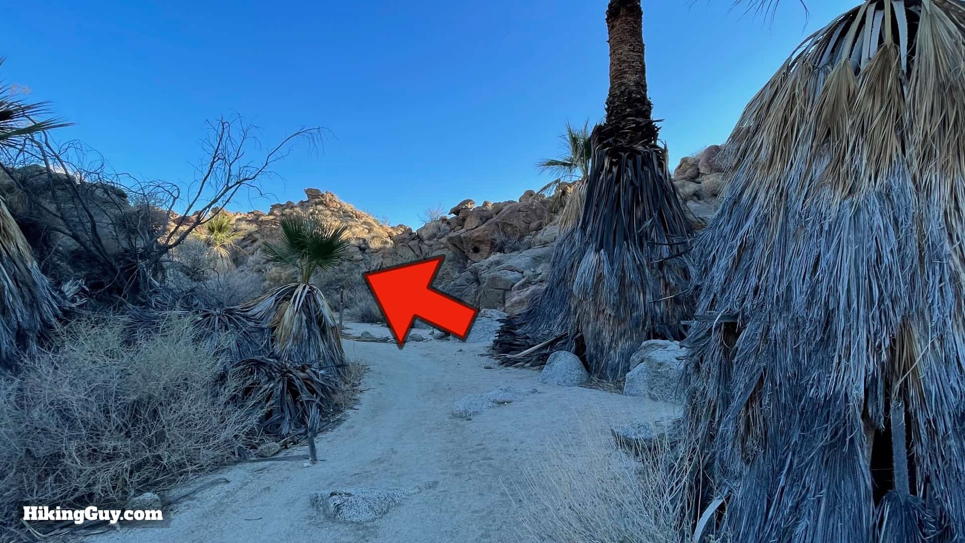 Art Smith Trail Directions 19