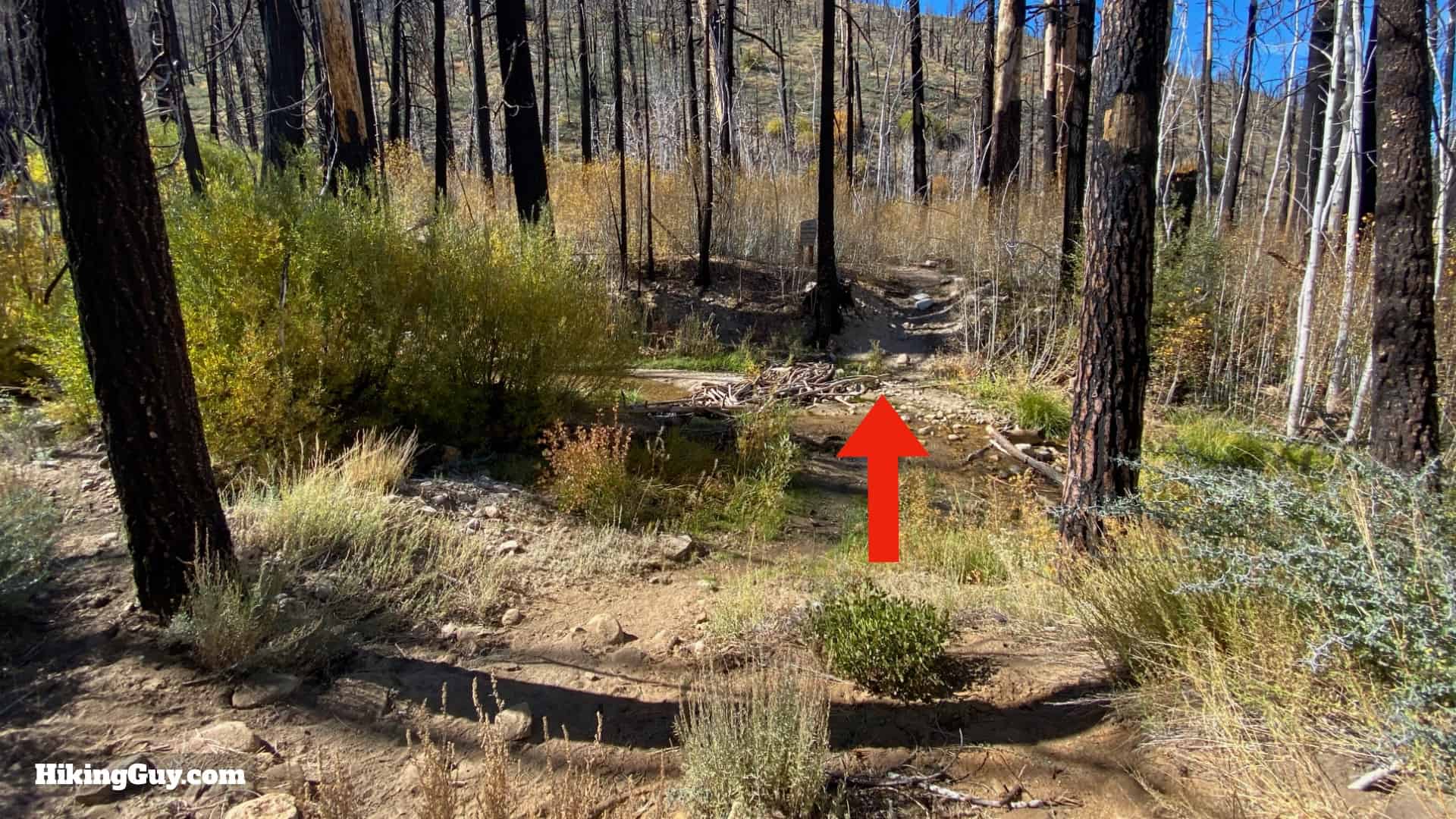 Aspen Grove Trail Directions 10