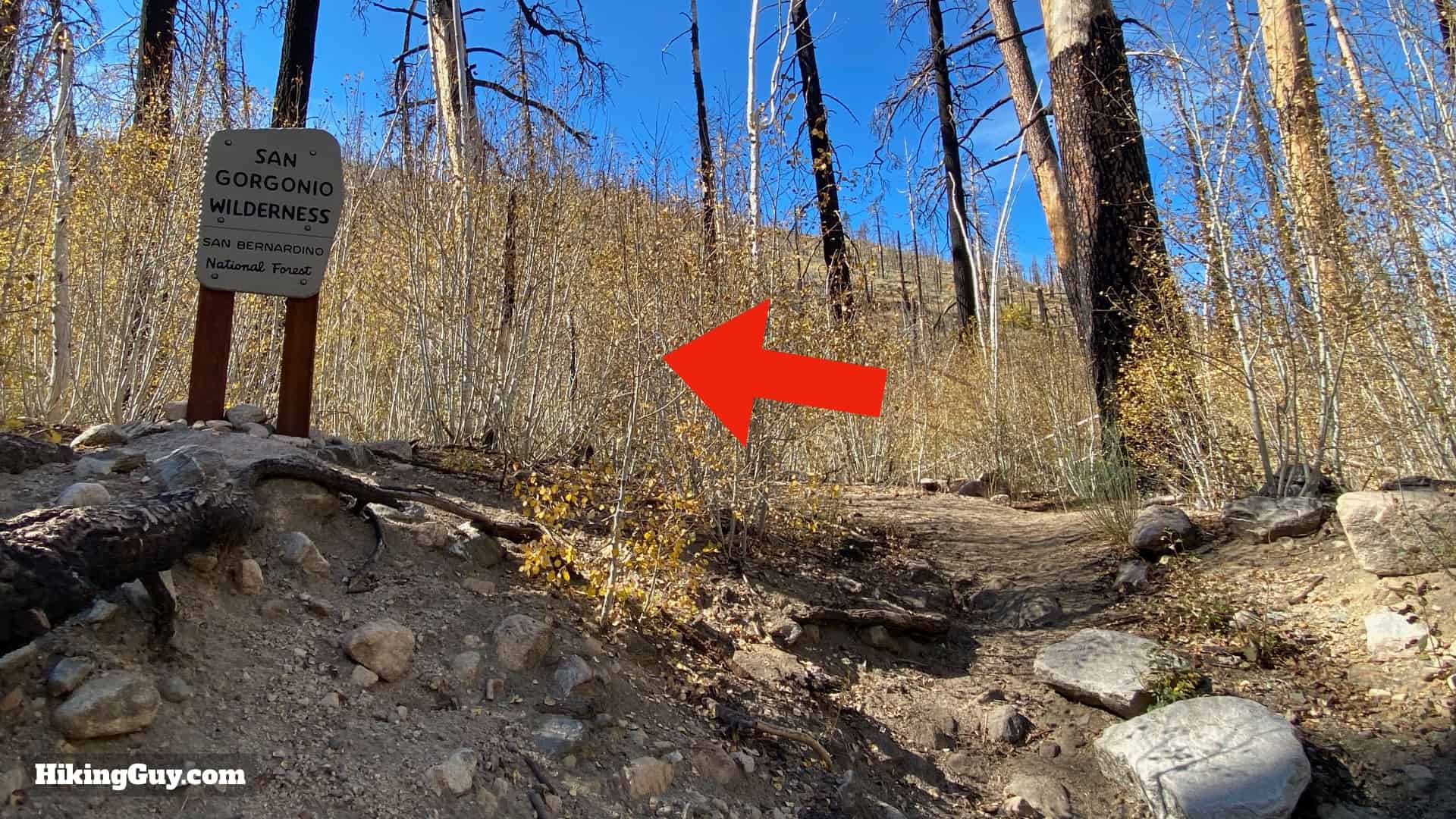 Aspen Grove Trail Directions 11