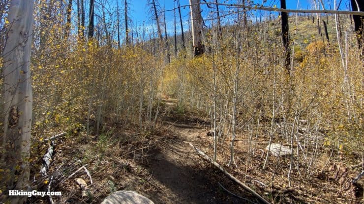 Aspen Grove Trail Directions 12