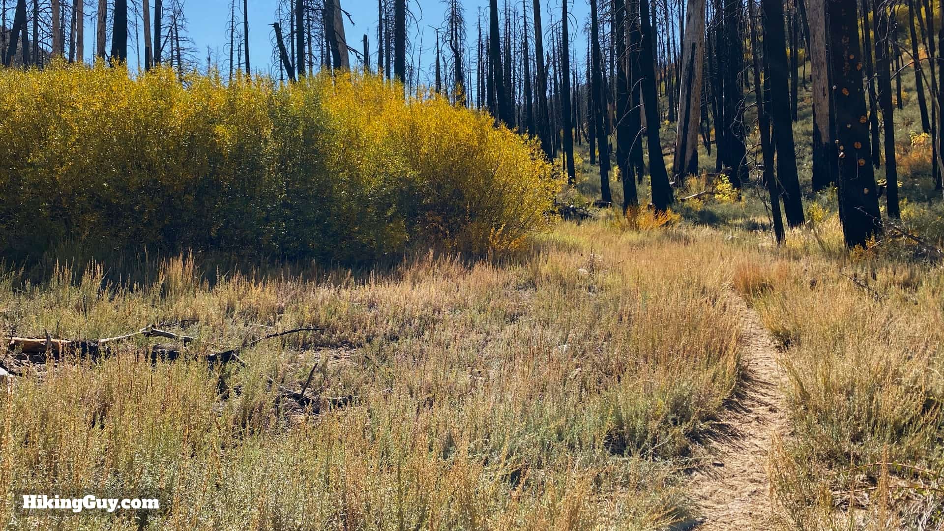 Aspen Grove Trail Directions 13