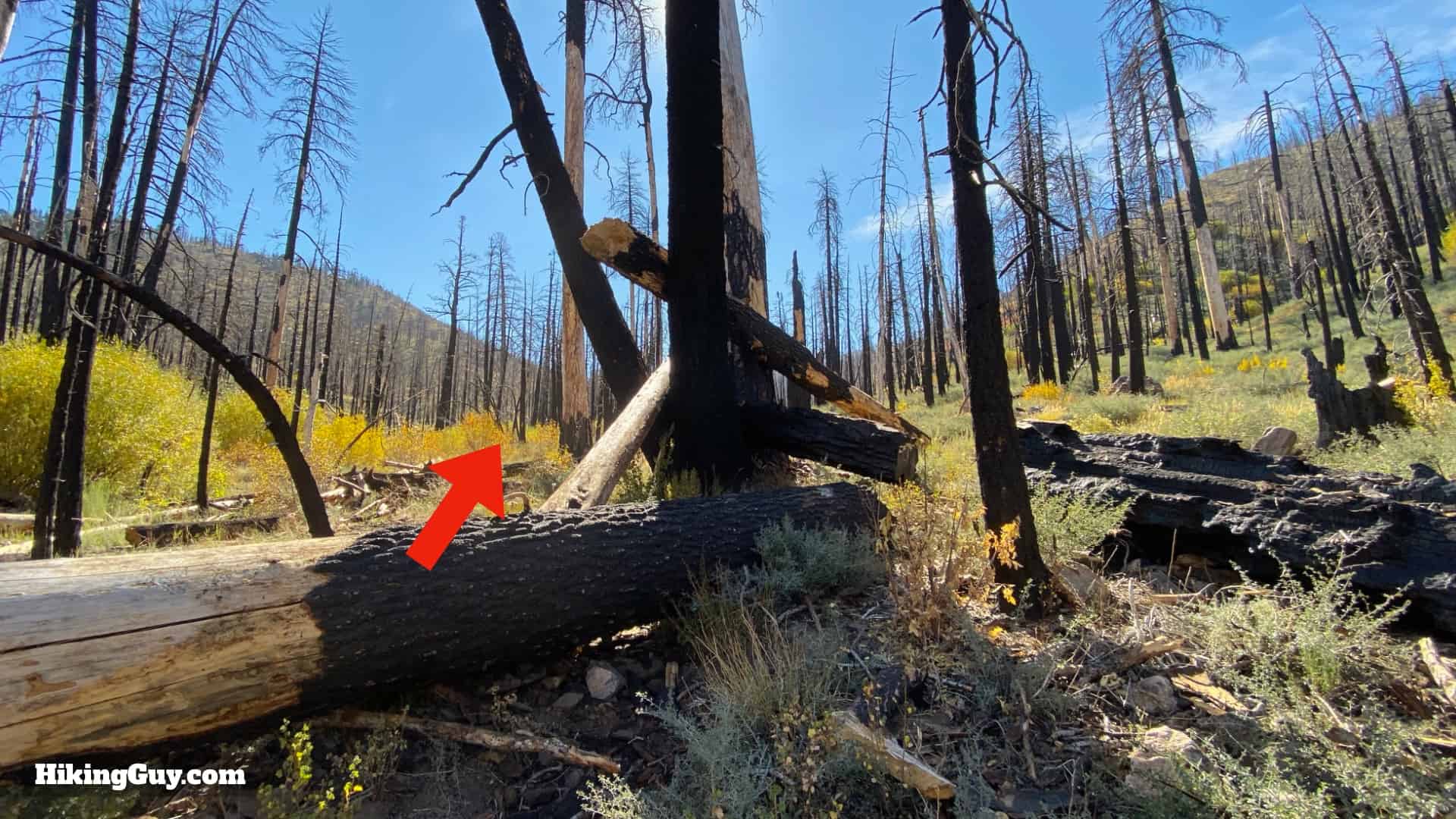 Aspen Grove Trail Directions 15