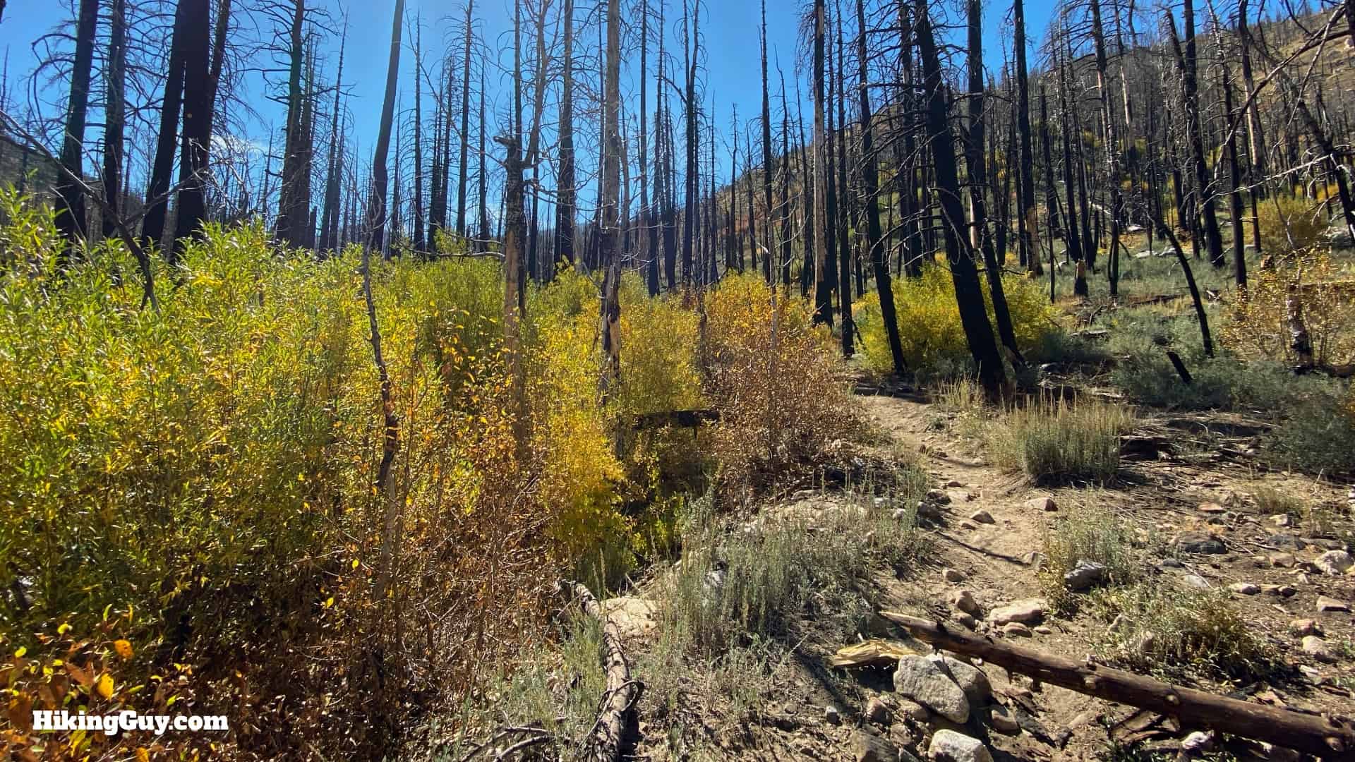 Aspen Grove Trail Directions 16