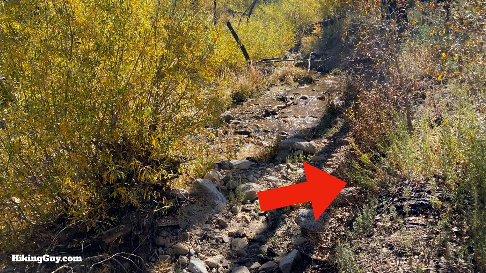 Aspen Grove Trail Directions 17