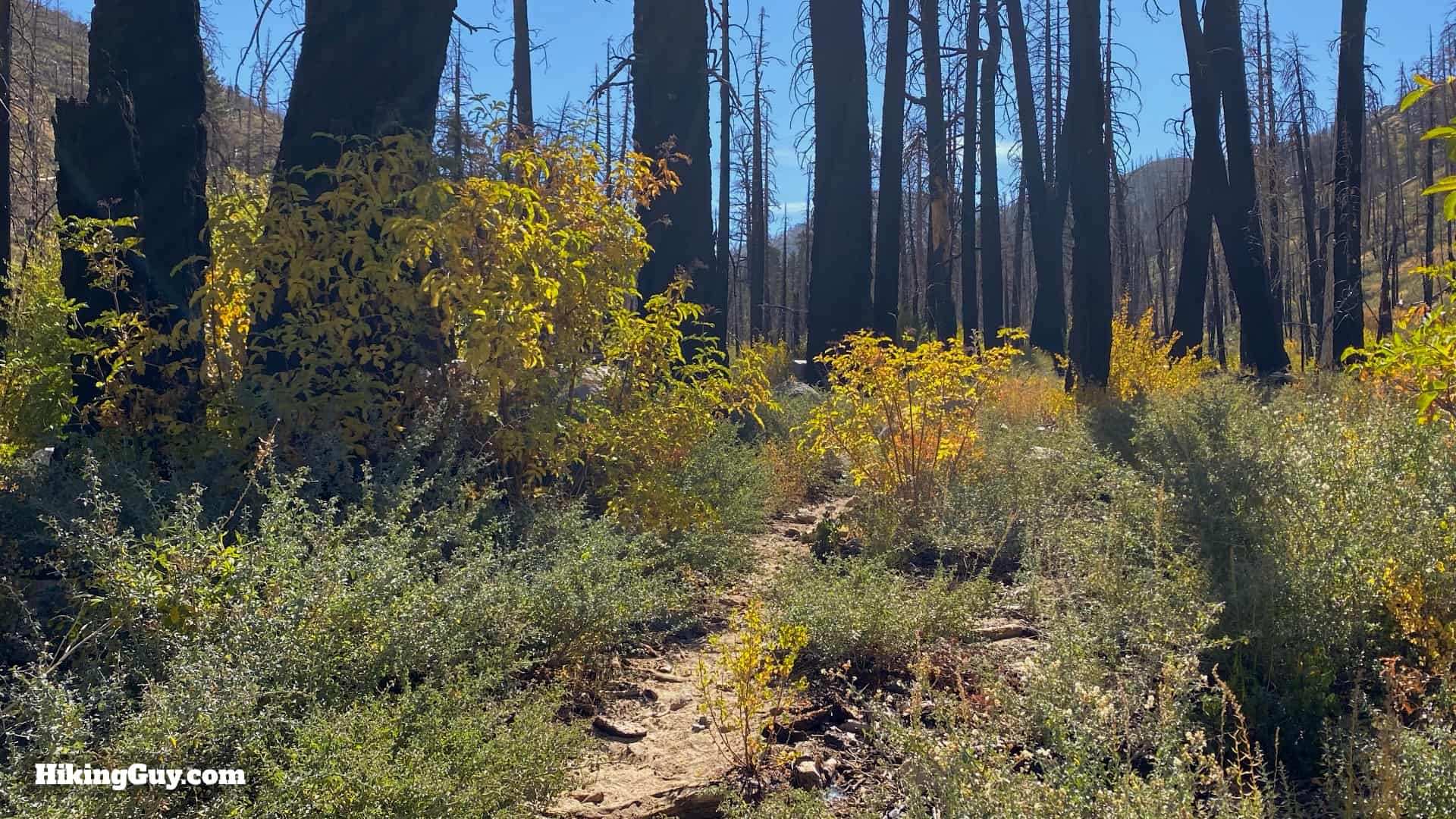 Aspen Grove Trail Directions 18