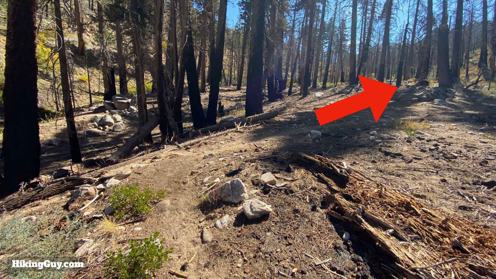 Aspen Grove Trail Directions 19