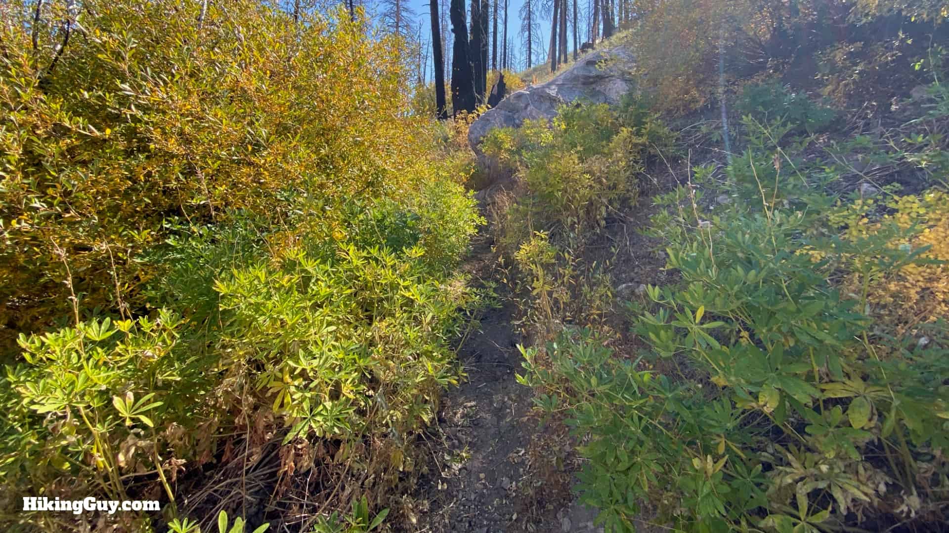 Aspen Grove Trail Directions 22