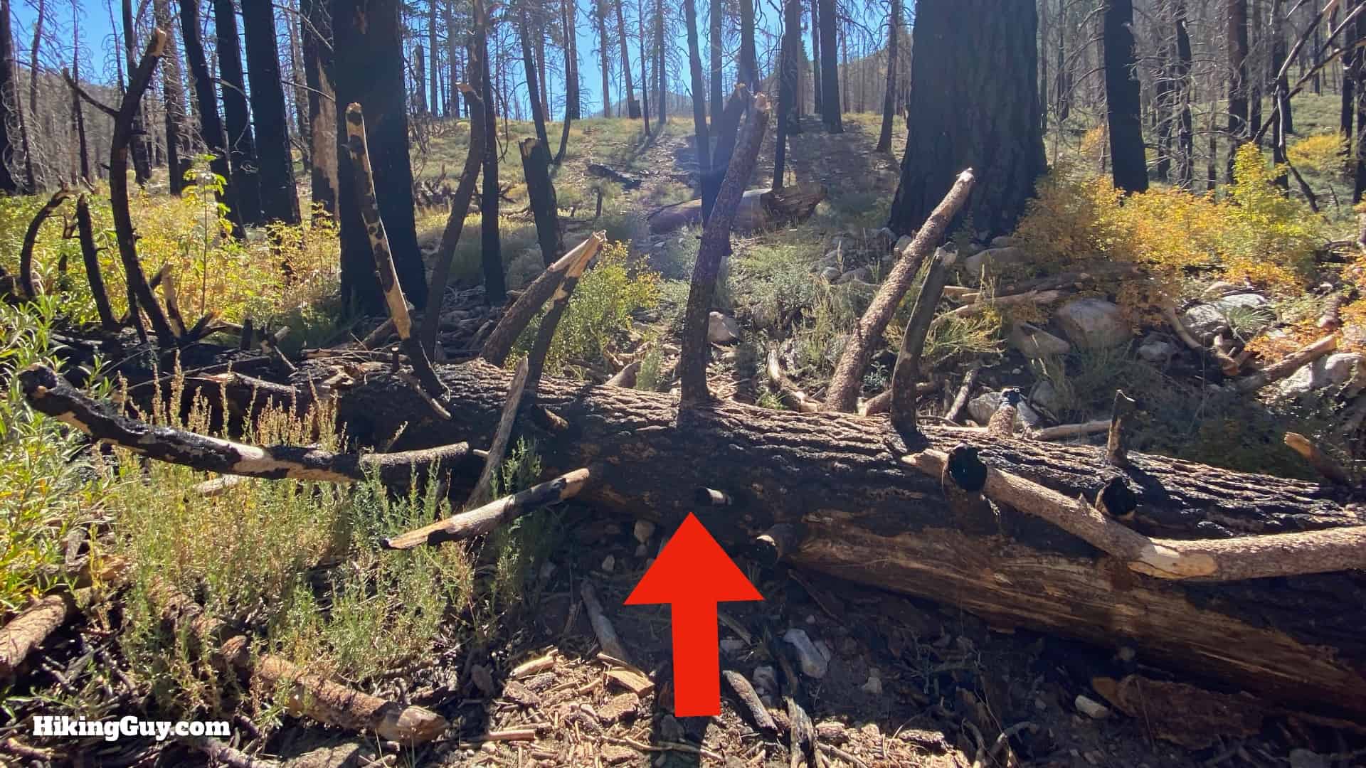 Aspen Grove Trail Directions 23