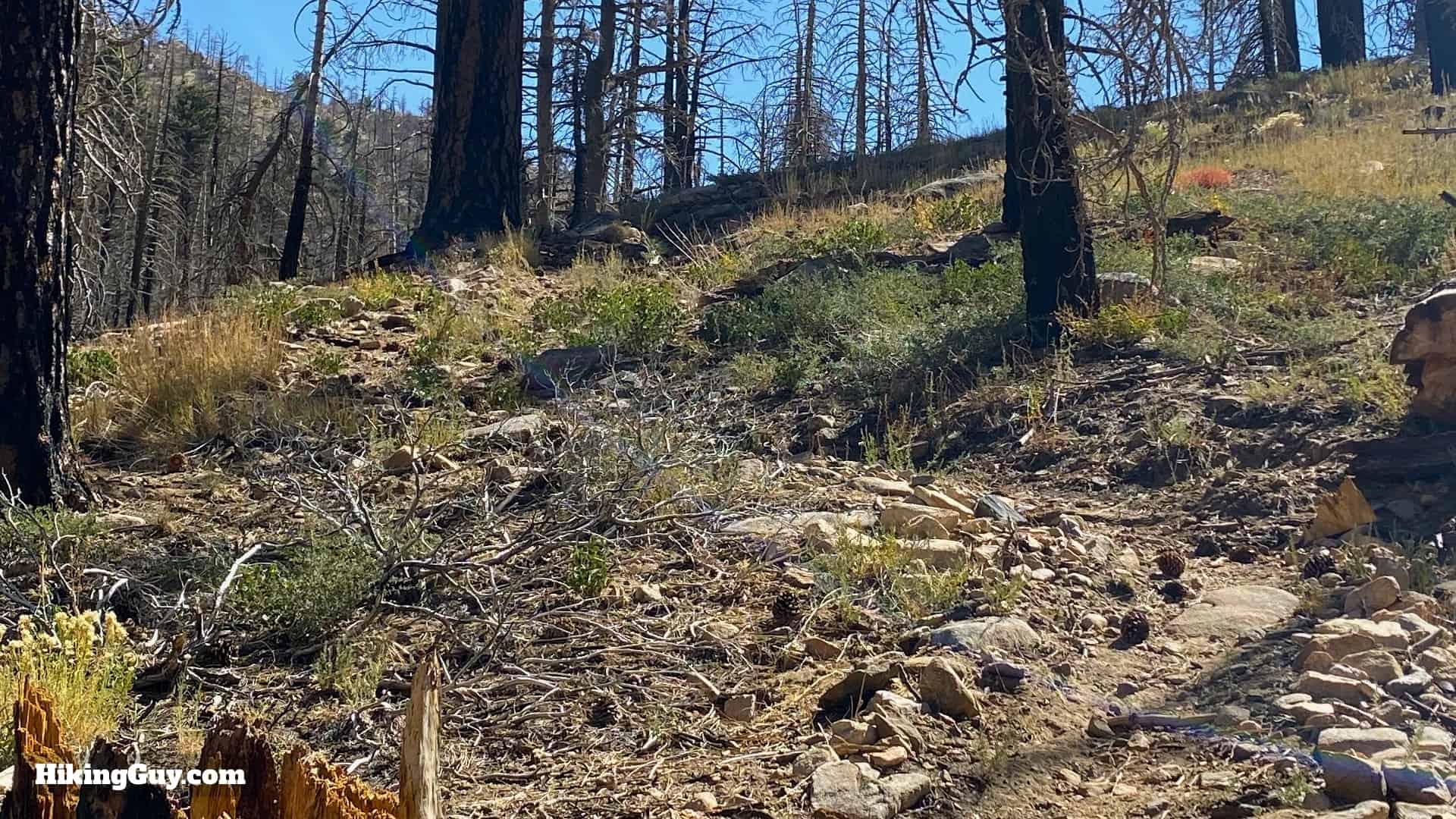 Aspen Grove Trail Directions 24