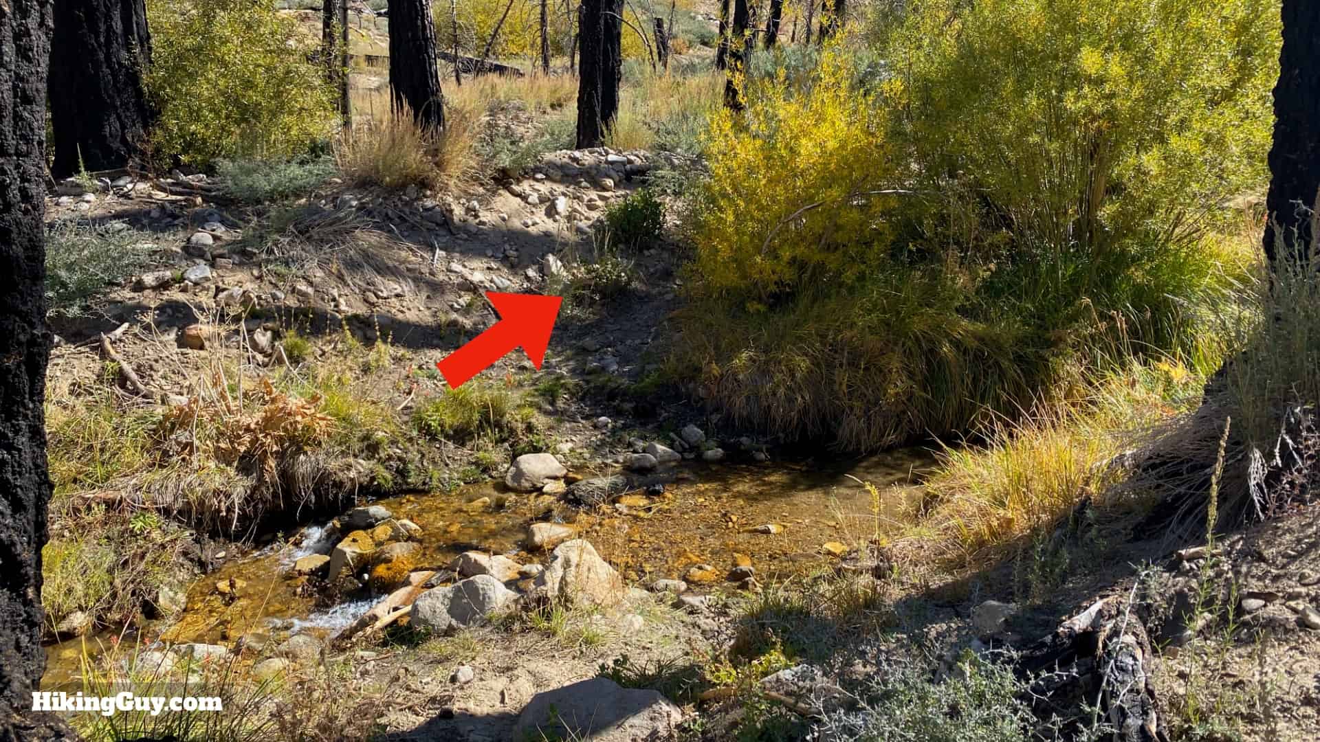 Aspen Grove Trail Directions 25