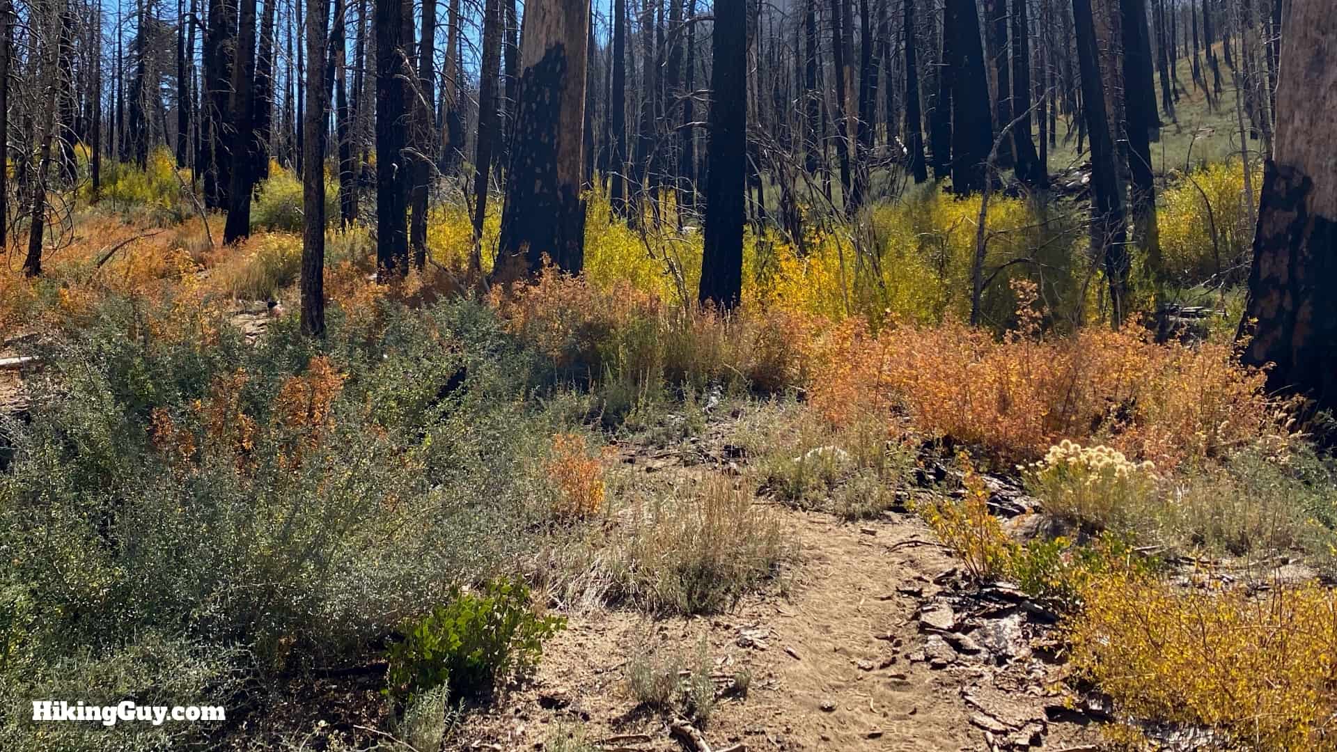 Aspen Grove Trail Directions 26