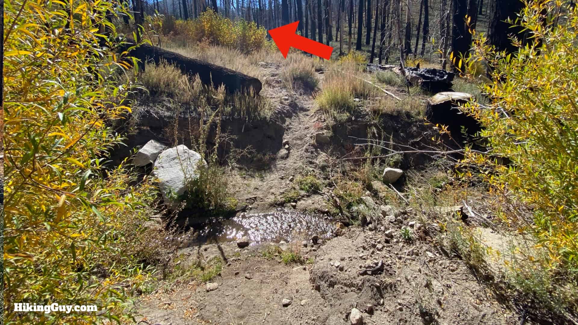 Aspen Grove Trail Directions 27