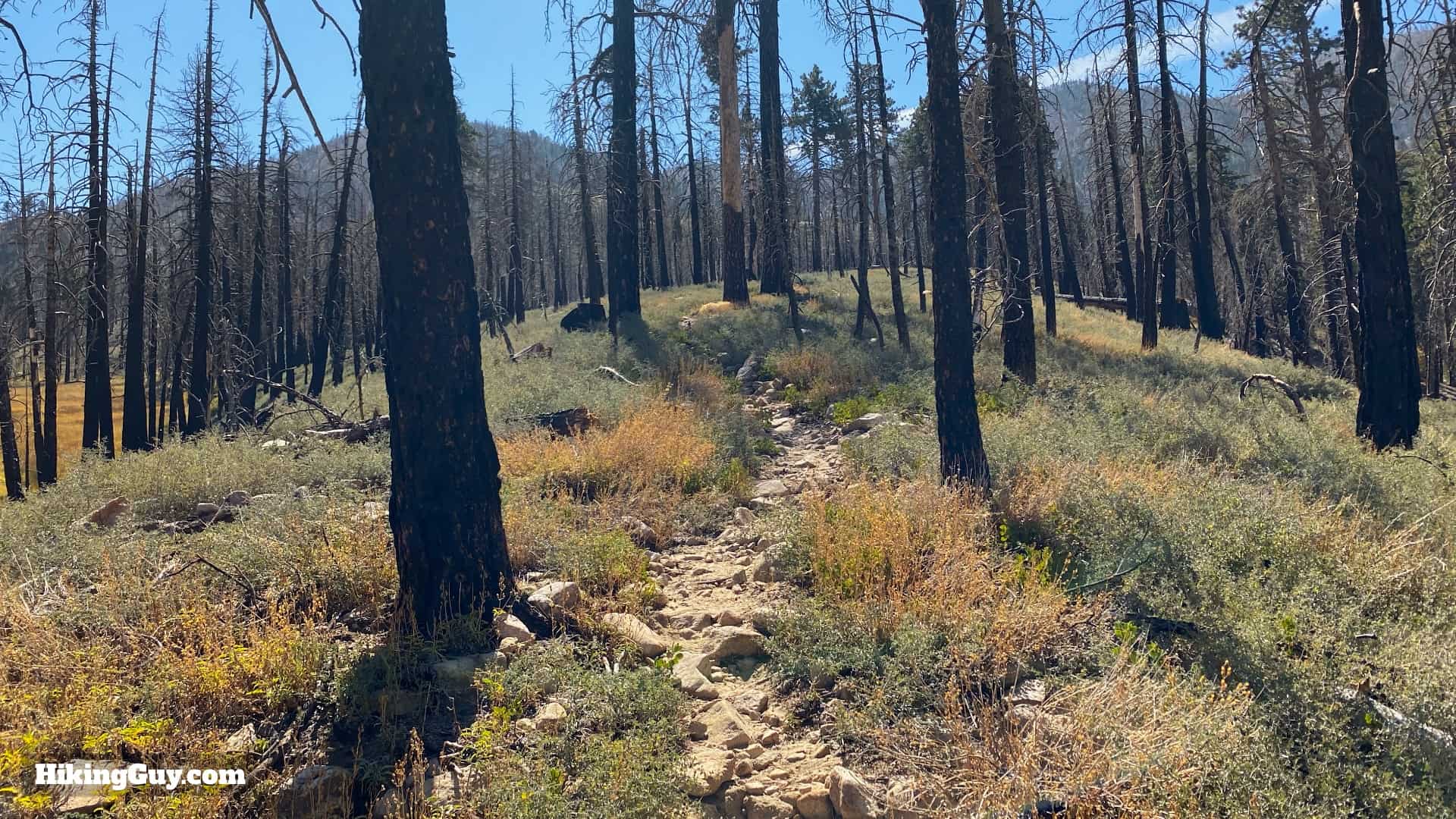 Aspen Grove Trail Directions 28