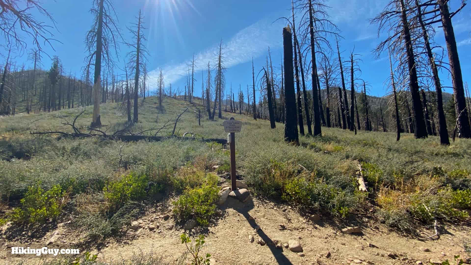 Aspen Grove Trail Directions 29