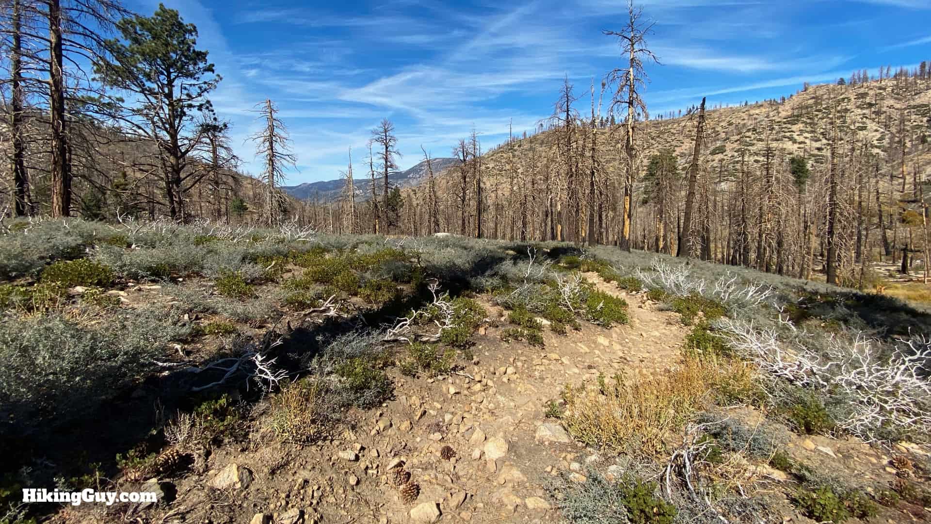 Aspen Grove Trail Directions 31