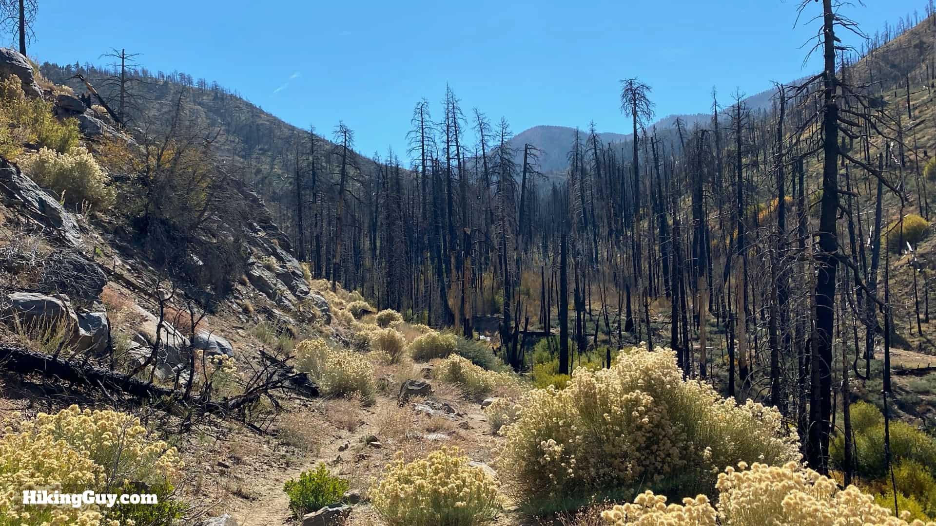 Aspen Grove Trail Directions 8