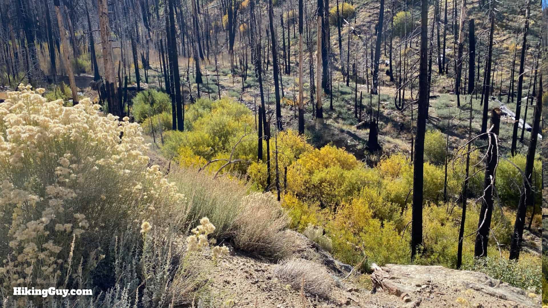 Aspen Grove Trail Directions 9