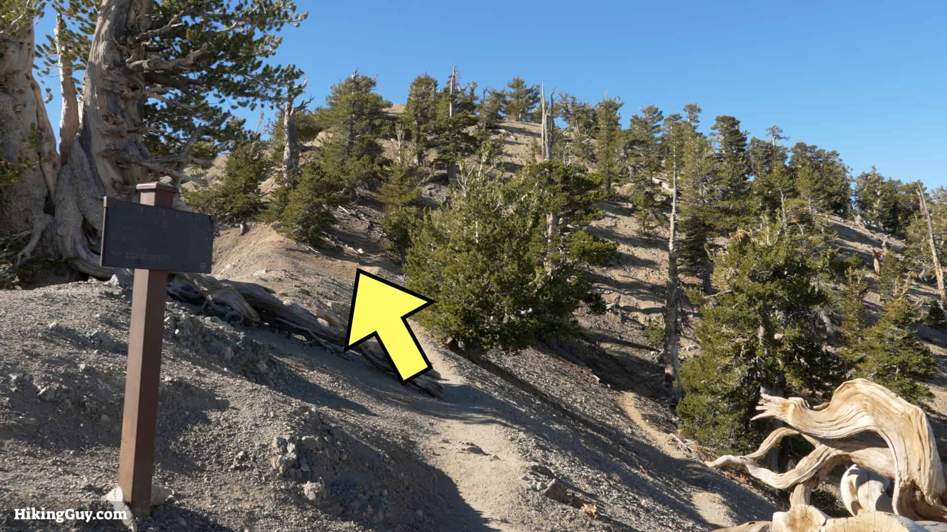 Baden Powell Hike Directions 11