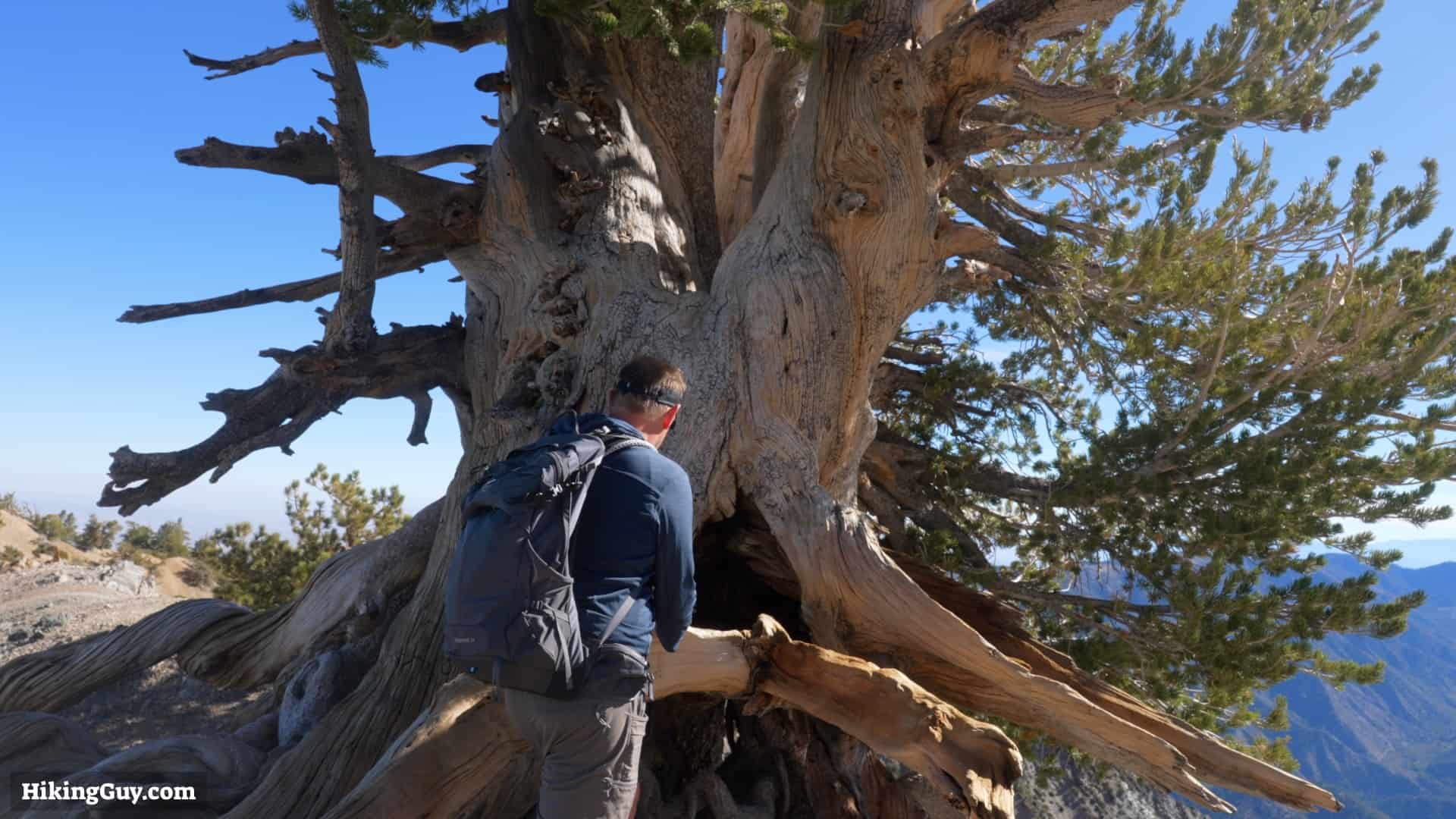 Baden Powell Hike Directions 12