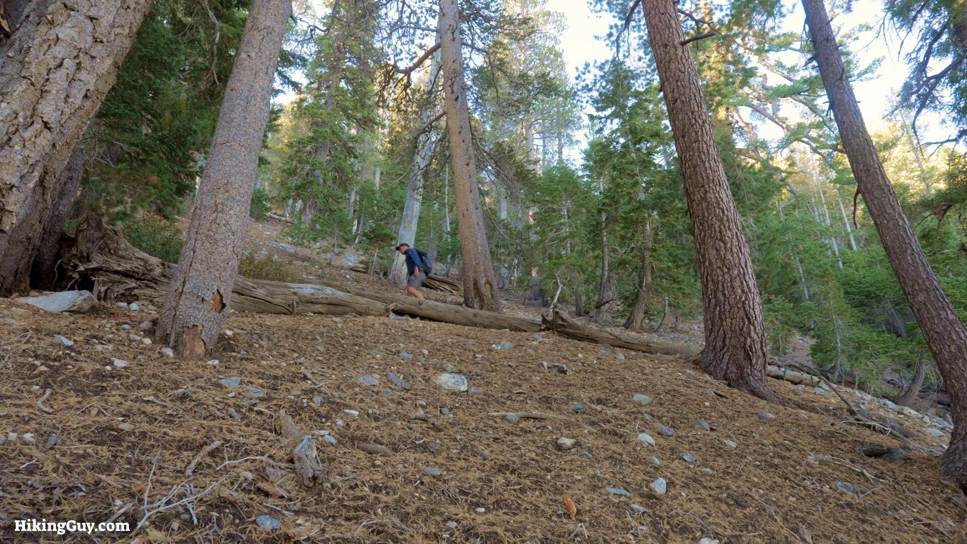 Baden Powell Hike Directions 9