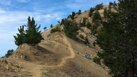 Mt Baden-Powell Hike
