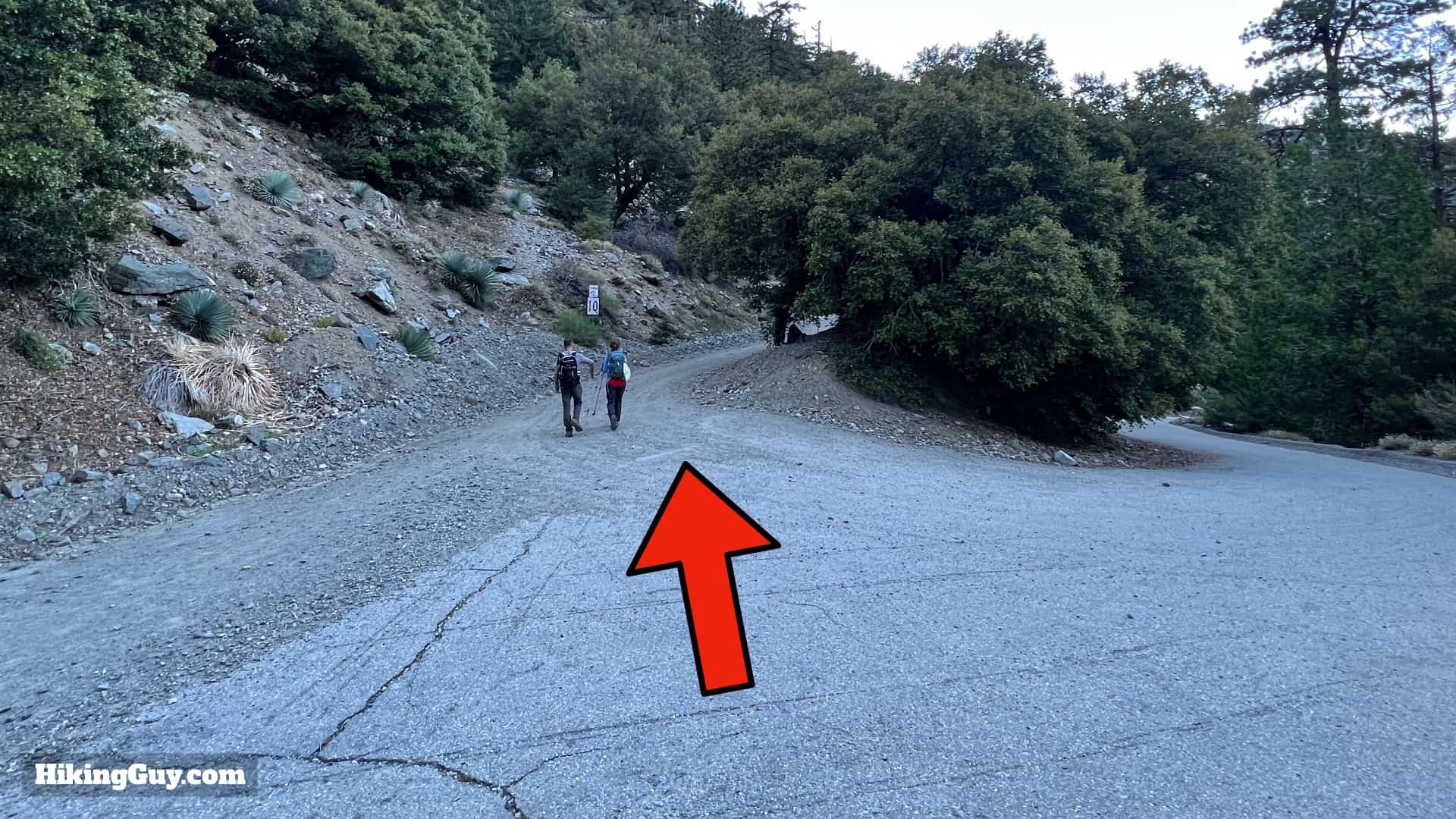 Baldy Bowl Trail Directions 10