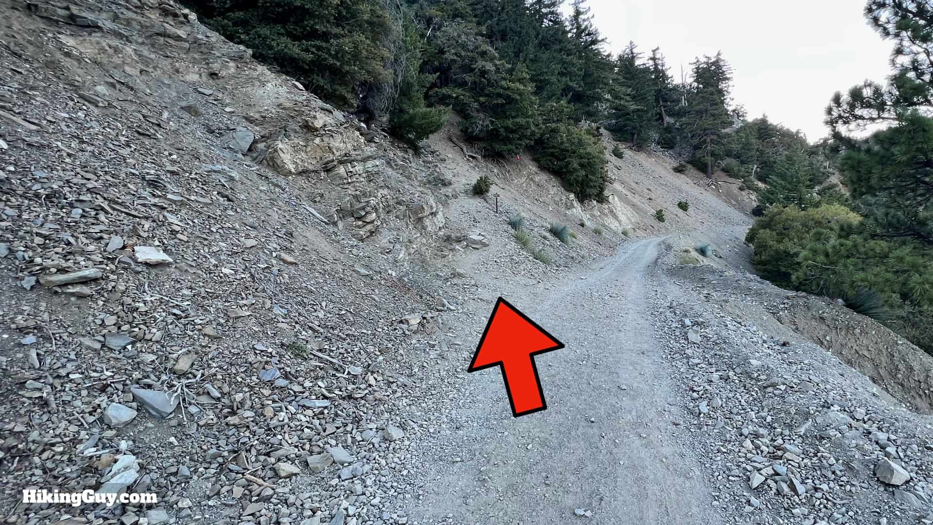 Baldy Bowl Trail Directions 11