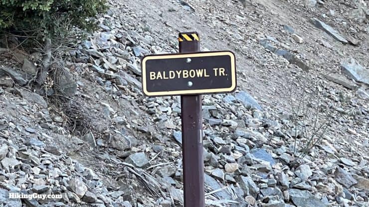 Baldy Bowl Trail Directions 12