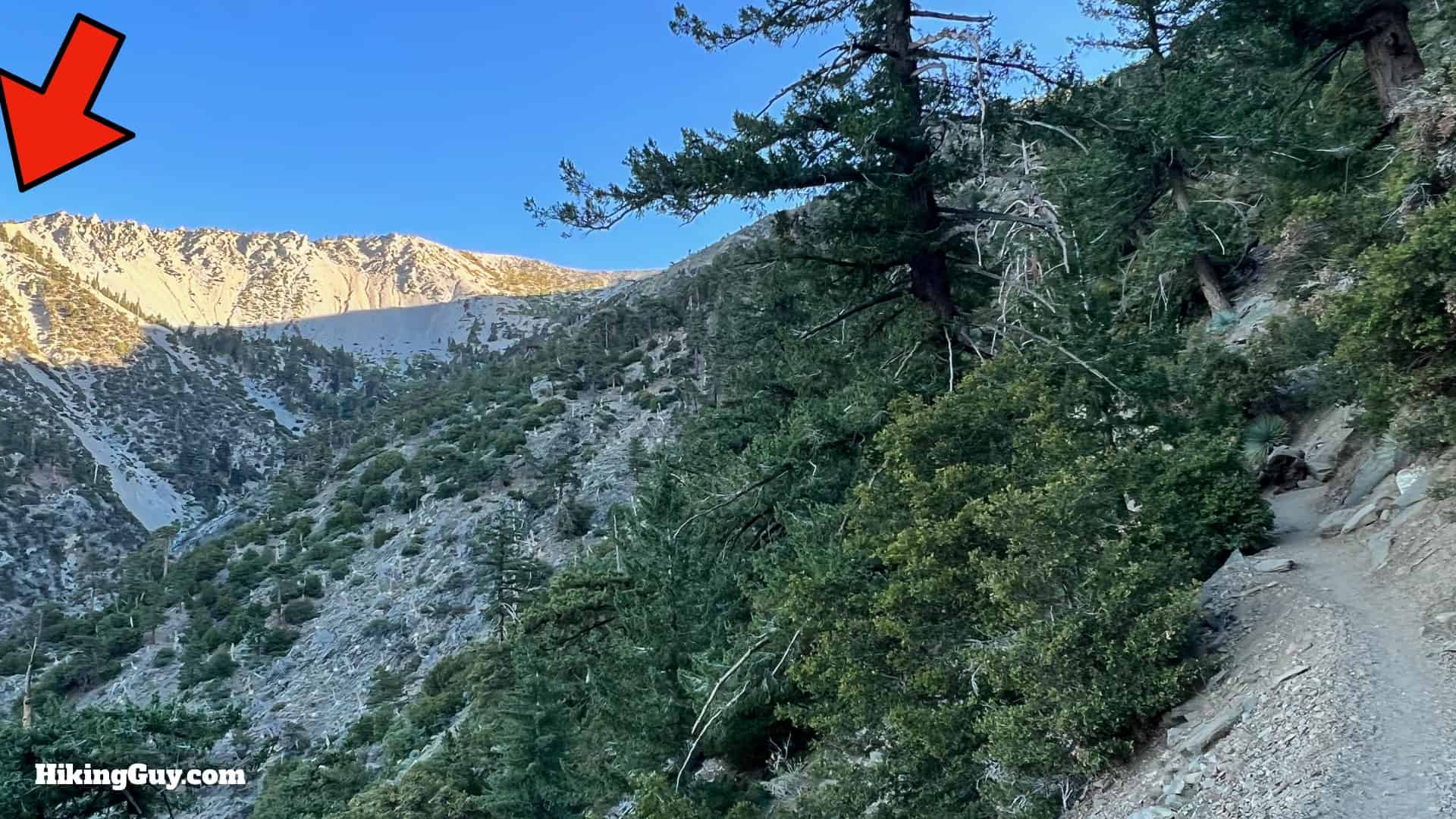 Baldy Bowl Trail Directions 16