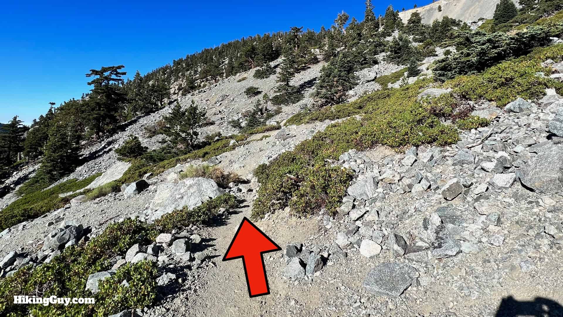 Baldy Bowl Trail Directions 29