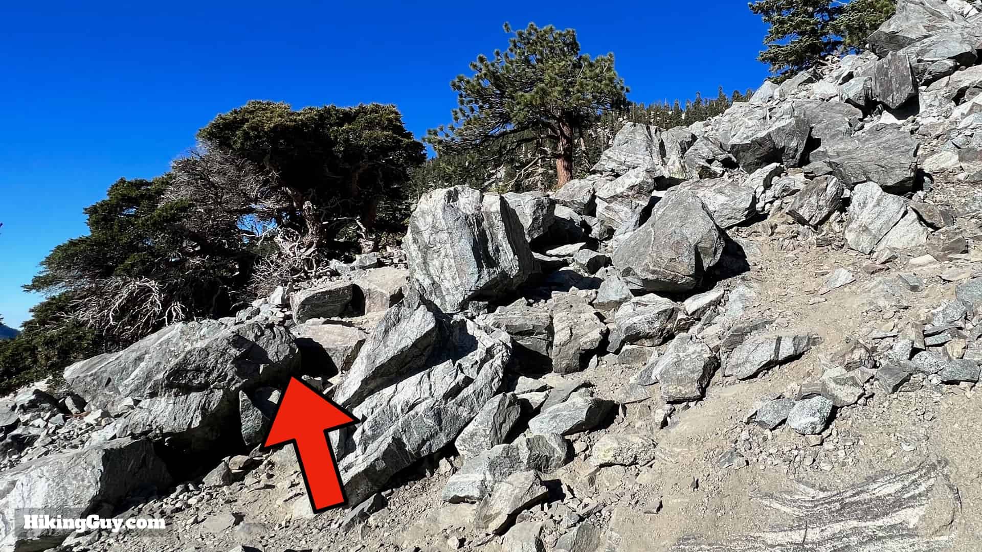 Baldy Bowl Trail Directions 30
