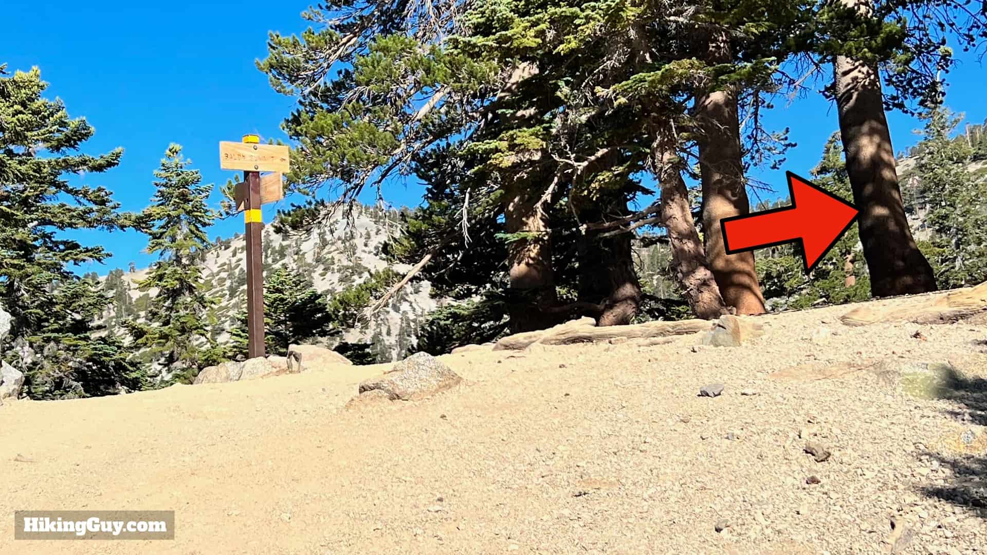 Baldy Bowl Trail Directions 33