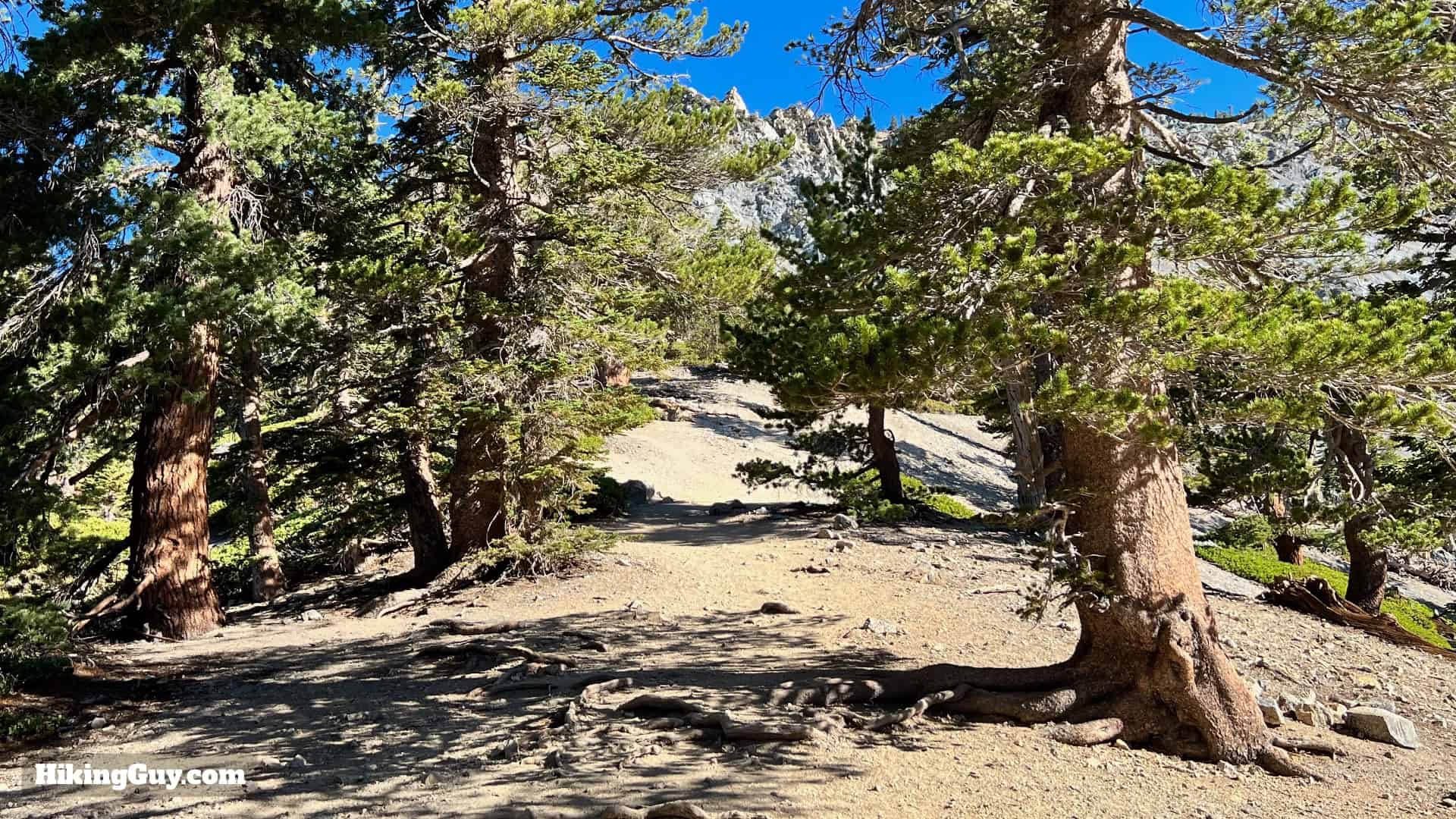 Baldy Bowl Trail Directions 35