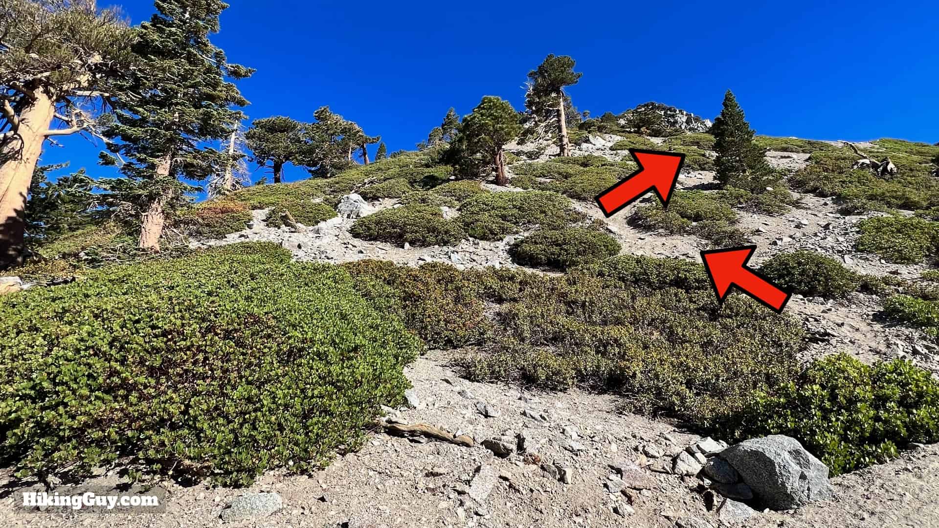 Baldy Bowl Trail Directions 37