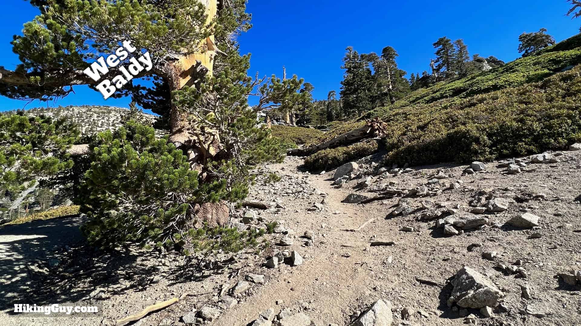 Baldy Bowl Trail Directions 40