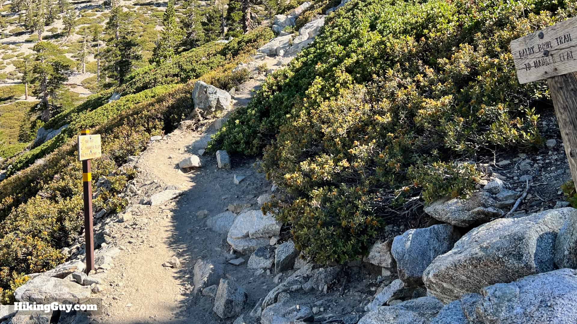 Baldy Bowl Trail Directions 41