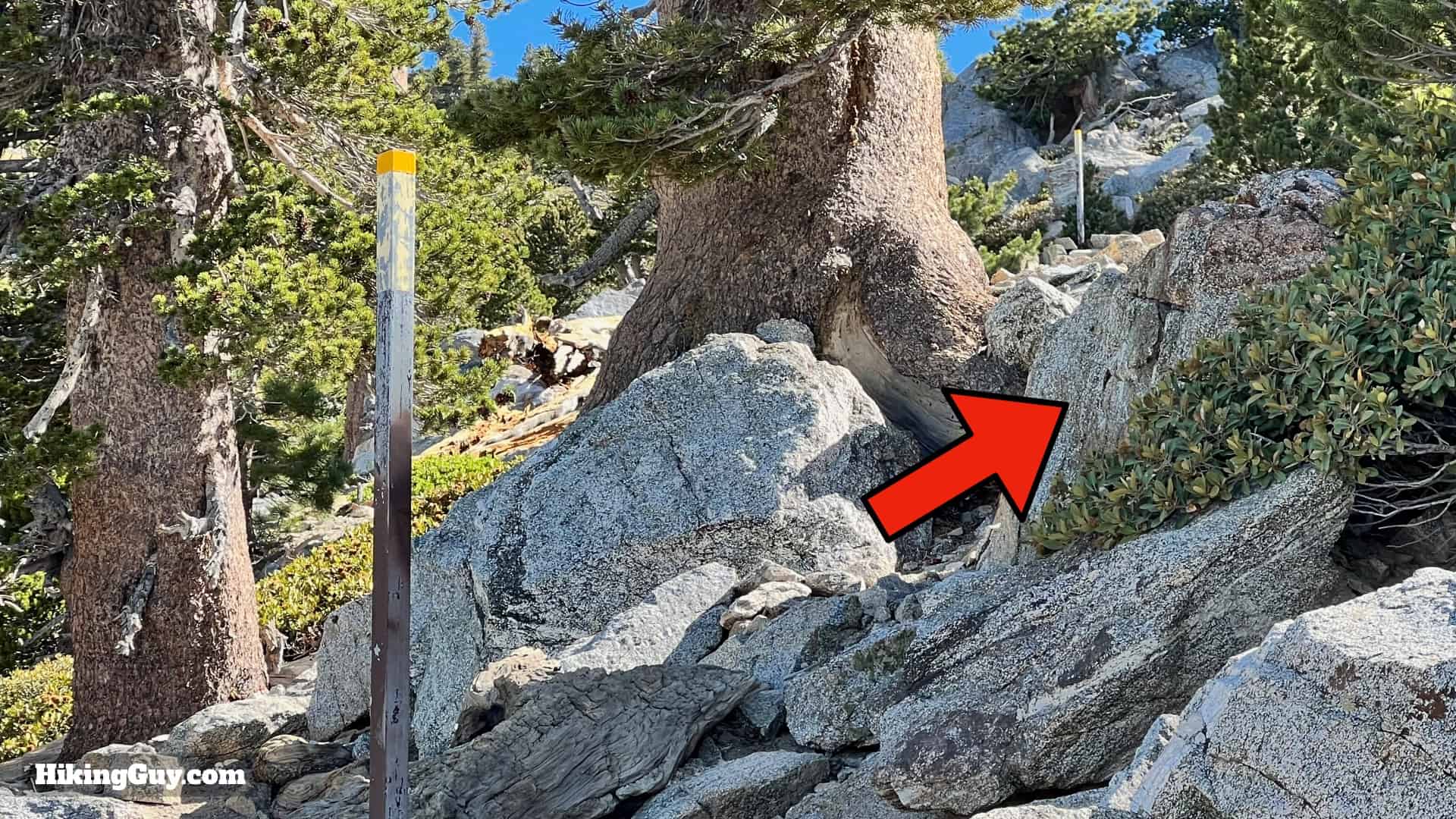 Baldy Bowl Trail Directions 44