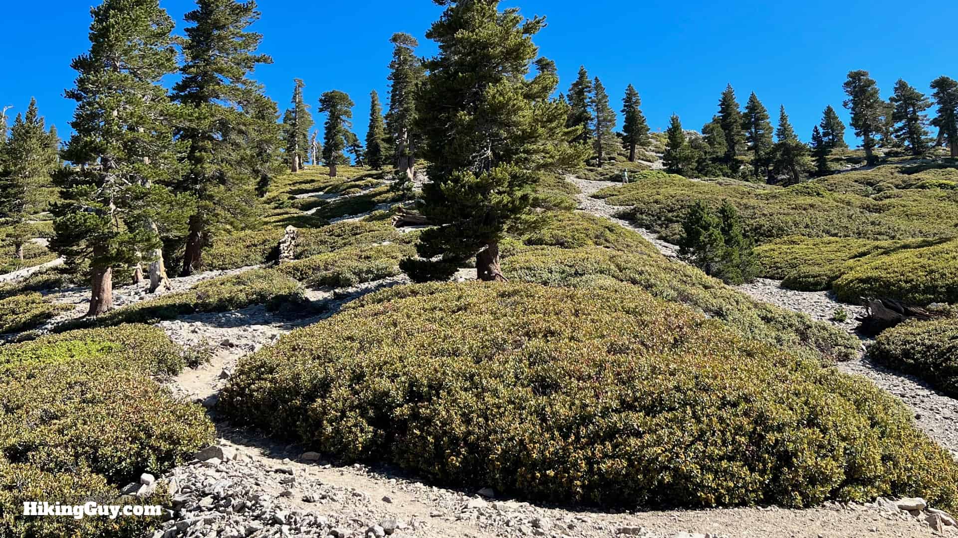 Baldy Bowl Trail Directions 46