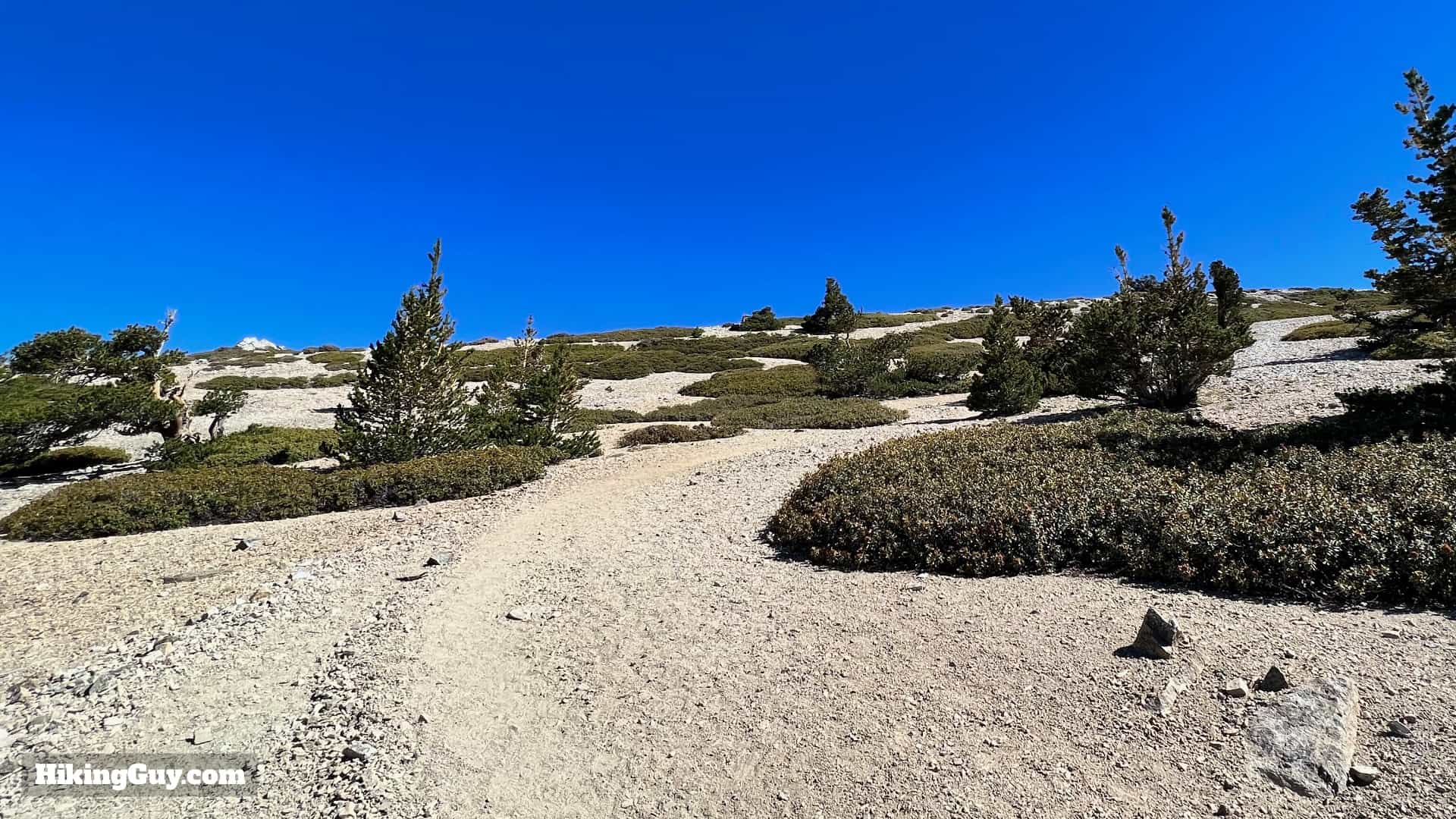 Baldy Bowl Trail Directions 47