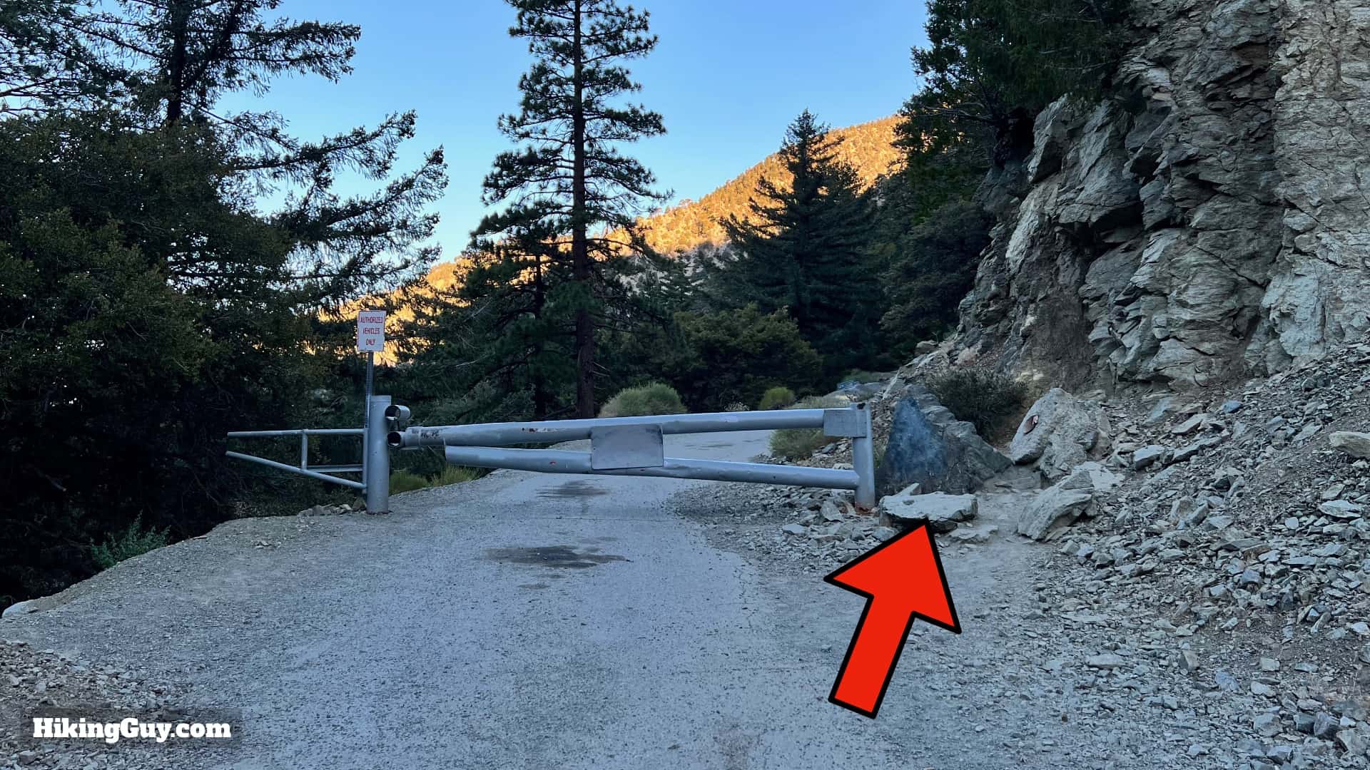 Baldy Bowl Trail Directions 7