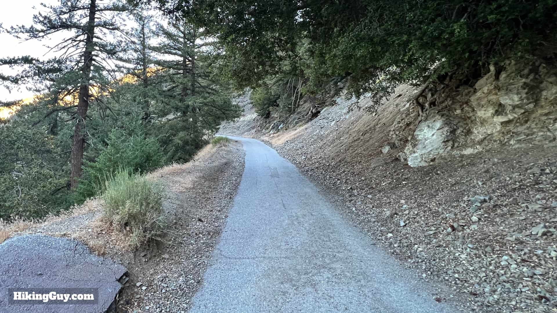 Baldy Bowl Trail Directions 8