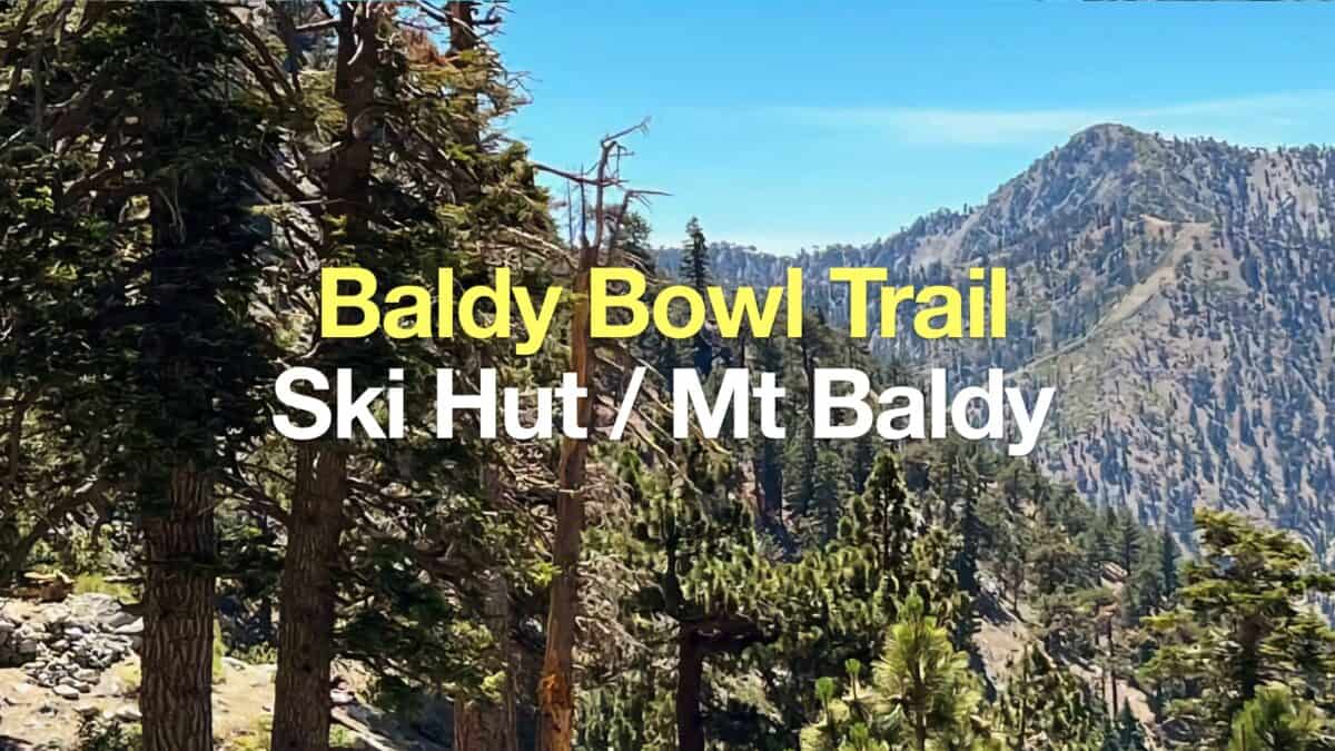 Baldy Bowl Trail (Ski Hut Trail) to Mt Baldy