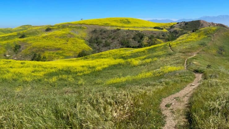 Bane Canyon Loop Trail Chino Hills State Park Featured