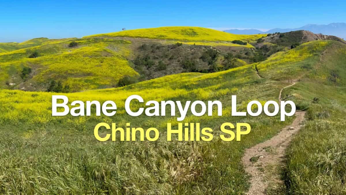 Bane Canyon Loop Trail - Chino Hills State Park
