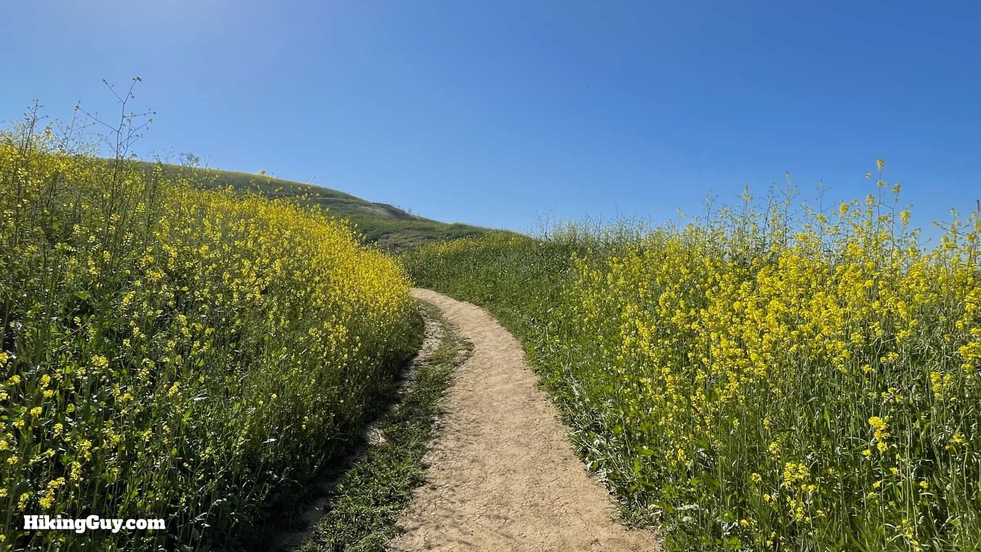 Bane Canyone Loop Trail Directions 10